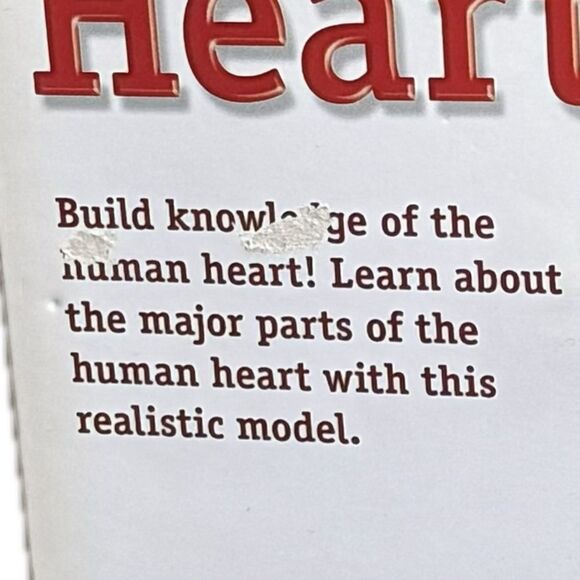 Learning Resources Human
Anatomy Model LER 3334 The Heart
29 Piece Model - Picture 5 of 6